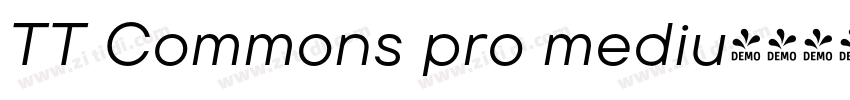 TT Commons pro mediu字体转换